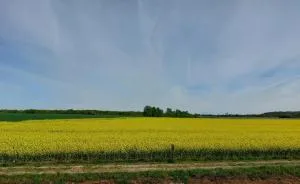 Einzigartiges Einfamilienhaus Ruhe und Komfort - Algermissen