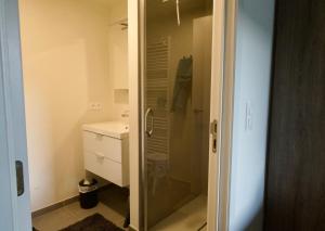 Cosy renovated studio for two in Ostend T114