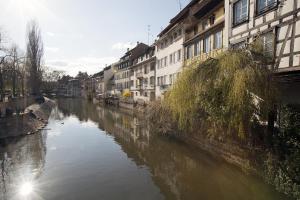 Appart'hotels Sejours & Affaires Strasbourg Kleber : photos des chambres