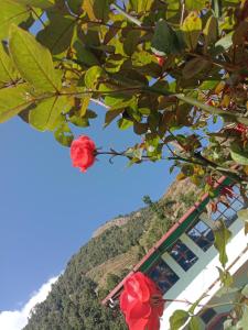 Shivansh Resorts & Restaurant