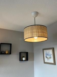 Fleurs du lac studio 2 adultes et 2 enfants avec terrasse vue sur le lac et accès parc aquatique gratuit