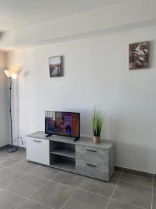 Appartements Appartement avec terrasse et parking - v0841 : photos des chambres