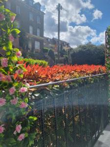 Beautiful Ground floor flat in the Heart of Rochester with balcony mobility friendly