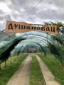 Dušanovac - Baljevac