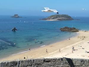 B&B / Chambres d'hotes Just be holidays France : photos des chambres