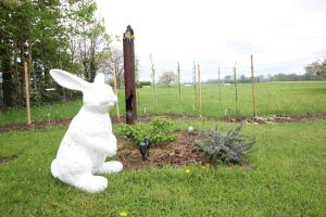 B&B / Chambres d'hotes ALSACE Cosy : photos des chambres