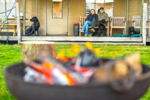 Swallow - Sweffling Hall