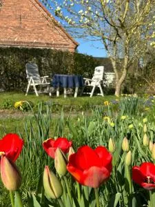 Ferien Gnevkow 45 - Mit dem Zug direkt ins Grüne - Entspannung inklusive - Wolde