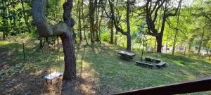 ZielonoMi - Poddębice