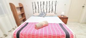 Habitaciones privadas en piso frente a playa Ondarreta, baño compartido