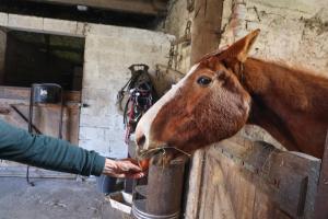 Maisons de vacances La Demeure de la Poterie, Wimille & Wimereux : photos des chambres