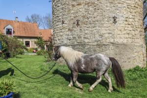 Maisons de vacances La Demeure de la Poterie, Wimille & Wimereux : photos des chambres