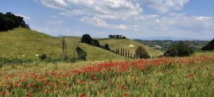 AltraTerra Casa Rurale