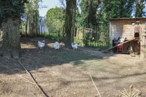 Maisons de vacances La Demeure de la Poterie, Wimille & Wimereux : photos des chambres