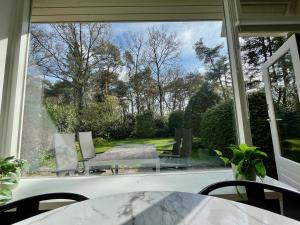 Modern natuurhuisje midden in het bos op de Veluwe