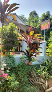 VELLAKUZHY Homestay Wayanad