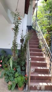 VELLAKUZHY Homestay Wayanad