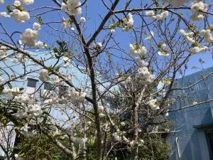 Narita Airport Samurai Hostel - Katori