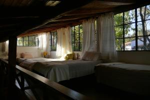 Hostal Finca La Violeta