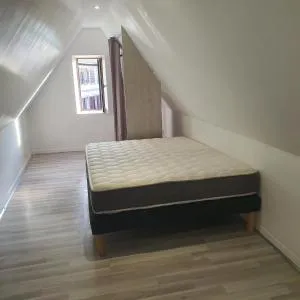 Studio atypique avec superbe vue - Westhoffen