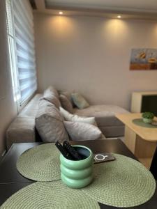 Apartman u centru Niša