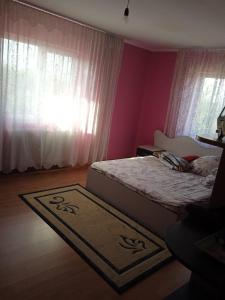 Boutigue Ghimpati Apartment