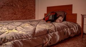 "CASITA DE GERANIOS " con cocina , sala , patio amplio y cochera privada