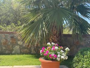 Four Seasons 1 - Ovacik