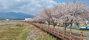 Sokcho,Mulchi Beach,BBQ,Seorak National Park