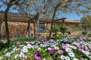 ATARAXIA at Saravari Beach - Pláka