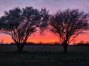 Luxury retreat with direct access to nature