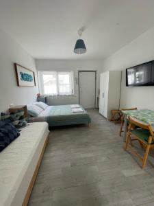 Grazioso Mono sulla Costa dei Trabocchi