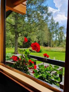 Blockhütte in Alleinlage