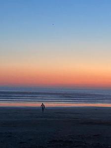 Appartements APPT T2 PROCHE PLAGE : photos des chambres