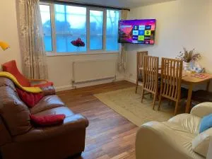 Kingston Upon Thames Stay - 莱尼斯公园