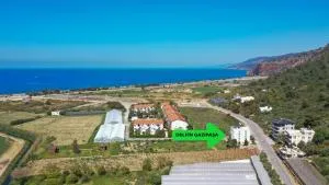 Gazipaşa Delfin - 加济帕夏