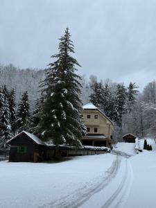 Vila Tin & Koča Tin