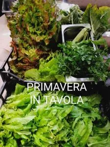 Belandin Ristorante Hotel - 波斯基亚沃