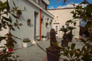 Vesuvio Home Capodichino Blu