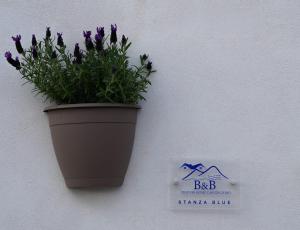 Vesuvio Home Capodichino Blu