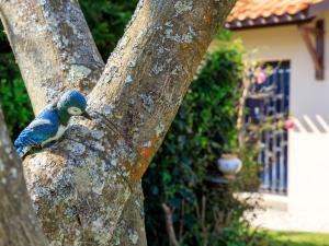 Holiday Home LOiseau Bleu by Interhome