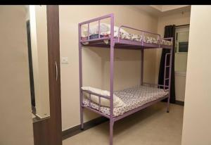 Guruvayoor Suits Pankaj Suits