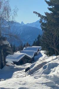 Apartment Konkordia 2 EG Süd-Ost by Interhome