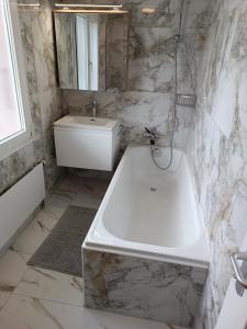 Swiss Alpine view apartment