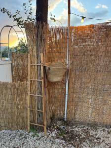 Teodora e Teodorina bohemien house img34