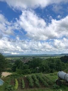 Le petit Chatel