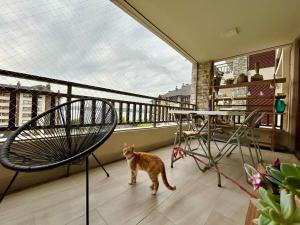 Hermoso departamento frente al lago Villarrica