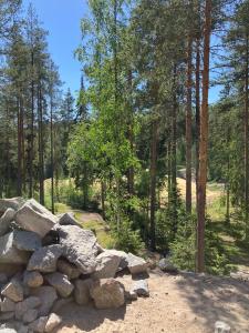 Havu Resort Laajavuori - Luksushuvila keskellä suomalaista metsää, Jyväskylä