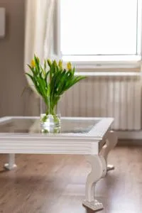 Casa Desy - Forte dei Marmi