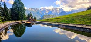Holiday chalet 